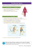 KS3 Years 7-9 Science Complete Study and Practice with Answers Higher Level CGP