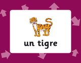 New KS2 French Vocabulary Flashcards for Ages 9-11 CGP