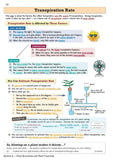 Edexcel Grade 9-1 GCSE Combined Science: Revision Guide Foundation Level CGP