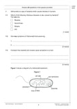 Grade 9-1 GCSE Science AQA Practice Papers: Higher Pack 1 with Answer CGP