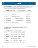 11 Plus Year 5 CEM 10 Minute Tests Verbal Reasoning Vocabulary with Answer CGP