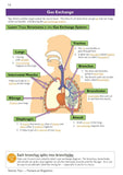 KS3 Science Complete Revision and Practice with Answer Foundation Years 7-9 CGP