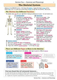 GCSE Physical Education Edexcel Revision Guide for the Grade 9-1 Course CGP