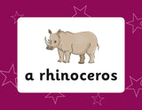 New KS2 French Vocabulary Flashcards for Ages 9-11 CGP