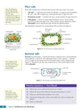 Grade 9-1 GCSE Combined Science for AQA Biology Student Book CGP