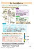 GCSE Physical Education Edexcel Revision Guide for the Grade 9-1 Course CGP