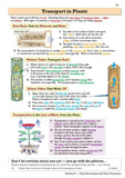 GCSE Edexcel Grade 9-1 Combined Science Revision Guide - Higher Level CGP