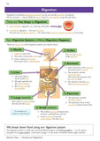 KS3 Science Complete Revision and Practice with Answer Foundation Years 7-9 CGP