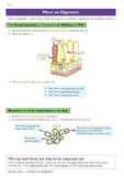 KS3 Science Complete Revision and Practice with Answer Foundation Years 7-9 CGP