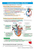 New GCSE Combined Science Edexcel Revision Guide - Foundation  KS4 CGP 2022