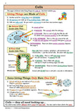 KS3 Years 7-9 Science Study Guide with Answer Foundation Level  CGP