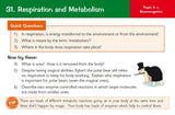 9-1 GCSE Combined Science: Biology AQA Revision Question Cards CGP