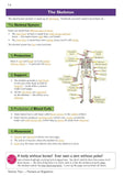 KS3 Years 7-9 Science Complete Study and Practice with Answers Higher Level CGP