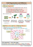 KS3 Years 7-9 Science Study Guide with Answer Foundation Level  CGP