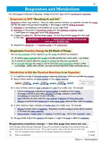 Grade 9-1 GCSE Biology  AQA Revision-Exam Practice Workbook Higher with Answer