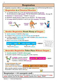 KS3 Years 7-9 Science Study Guide with Answer Foundation Level  CGP