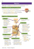 KS3 Years 7-9 Science Complete Study and Practice with Answers Higher Level CGP