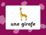 New KS2 French Vocabulary Flashcards for Ages 9-11 CGP